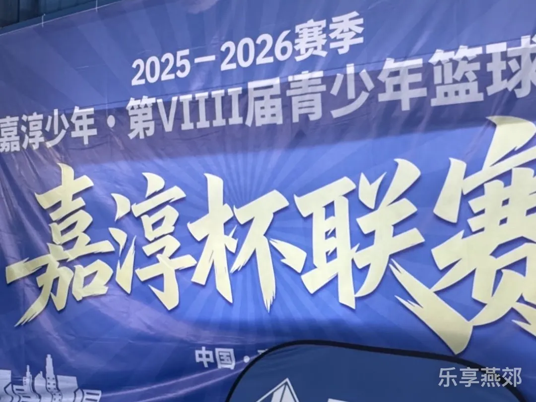 2026-2026嘉淳少年-少儿篮球嘉淳杯联赛